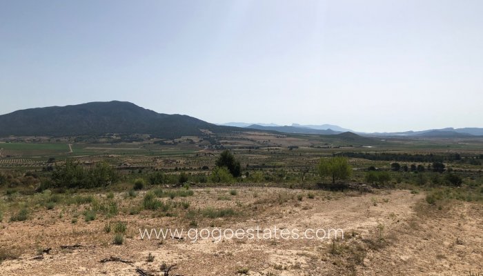 Revente - Terrain - Terrain - Yecla - Yecla Centro