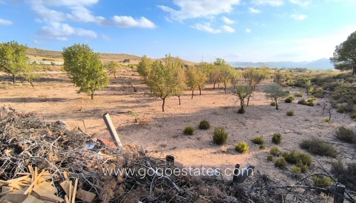 Te koop - Huis - Finca - Cortijo - Yecla - Yecla Centro