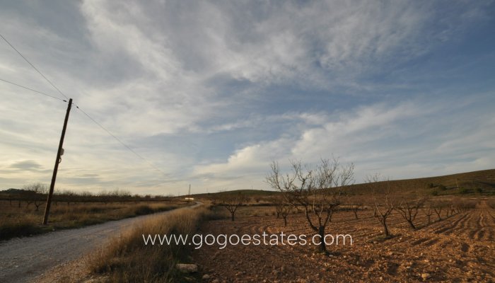 Revente - Terrain - Terrain - Murcia - Abanilla Centro
