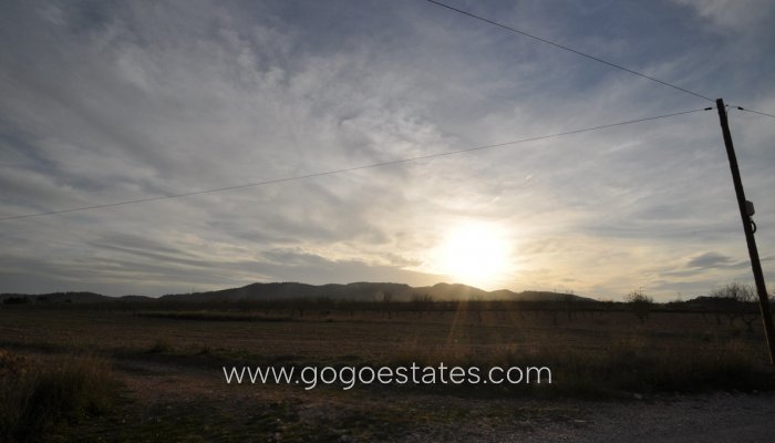 Revente - Terrain - Terrain - Murcia - Abanilla Centro