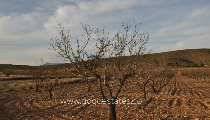 Revente - Terrain - Terrain - Murcia - Abanilla Centro