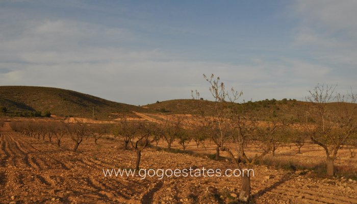 Revente - Terrain - Terrain - Murcia - Abanilla Centro