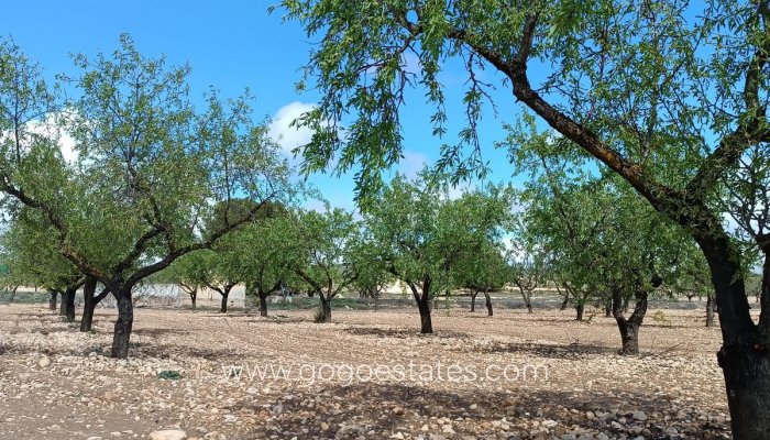 Te koop - Perceel - Land met ruïne - Yecla - Yecla Centro