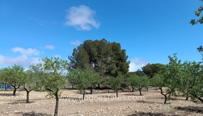 Te koop - Perceel - Land met ruïne - Yecla - Yecla Centro