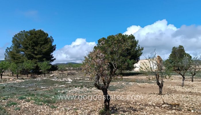 Te koop - Perceel - Land met ruïne - Yecla - Yecla Centro
