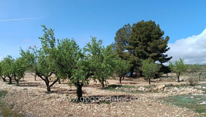Te koop - Perceel - Land met ruïne - Yecla - Yecla Centro