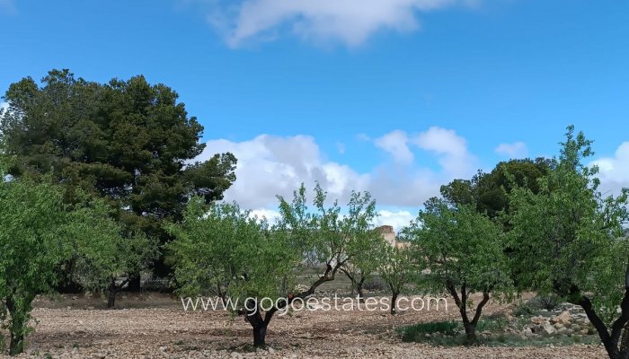 Te koop - Perceel - Land met ruïne - Yecla - Yecla Centro