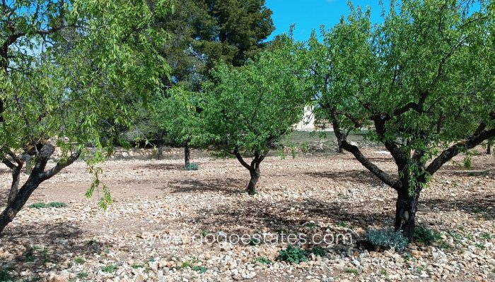 Te koop - Perceel - Land met ruïne - Yecla - Yecla Centro