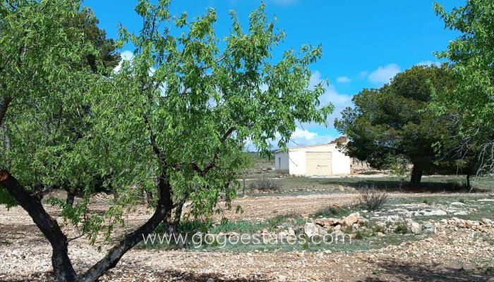 Te koop - Perceel - Land met ruïne - Yecla - Yecla Centro