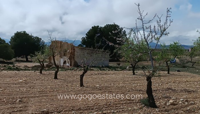 Te koop - Perceel - Land met ruïne - Yecla - Yecla Centro