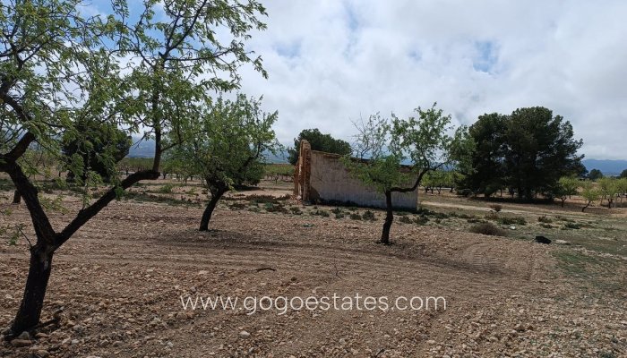 Te koop - Perceel - Land met ruïne - Yecla - Yecla Centro