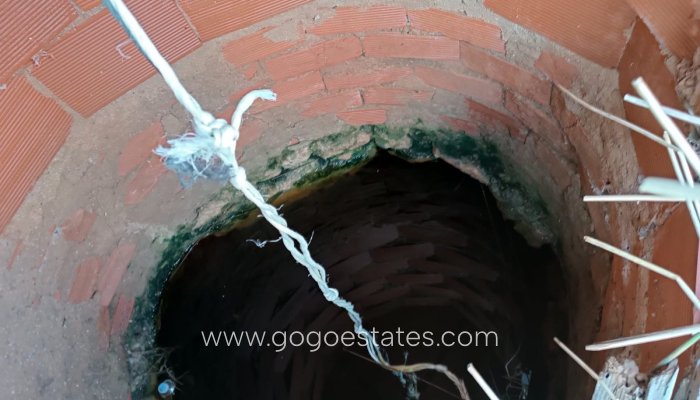 Resale - Plot - Land - Yecla - Yecla Centro