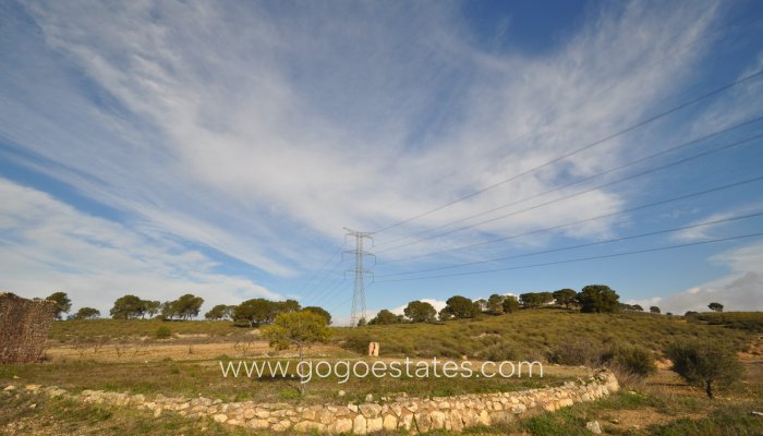 Te koop - Huis - Finca - Cortijo - Jumilla - Torre del Rico