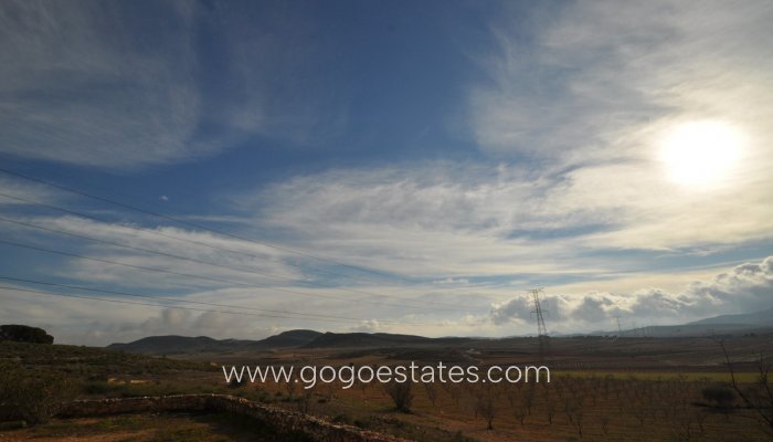 Te koop - Huis - Finca - Cortijo - Jumilla - Torre del Rico