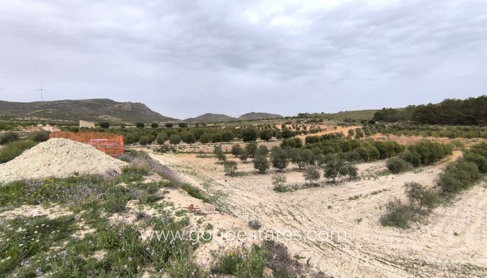Revente - Maison - Finca - Cortijo - Jumilla - Jumilla Centro
