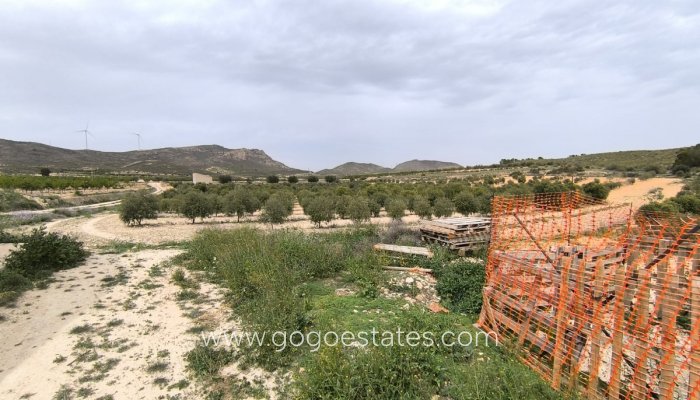 Revente - Maison - Finca - Cortijo - Jumilla - Jumilla Centro