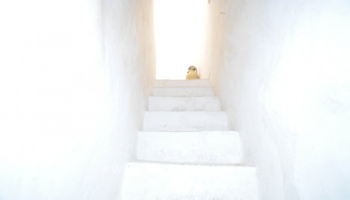 Te koop - Huis - Grotwoning - Jumilla - La Zarza