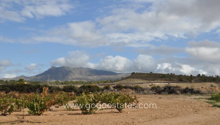 Revente - Commerces - Garages - Jumilla - Jumilla Centro