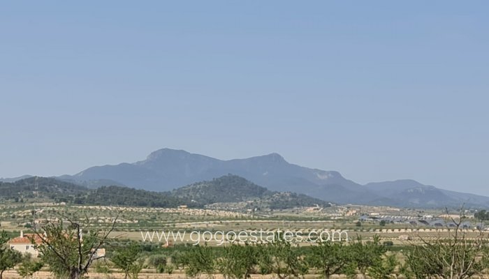 Te koop - Perceel - Land - Jumilla - Jumilla Centro