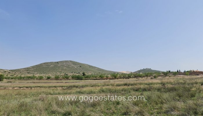 Te koop - Perceel - Land - Jumilla - Jumilla Centro