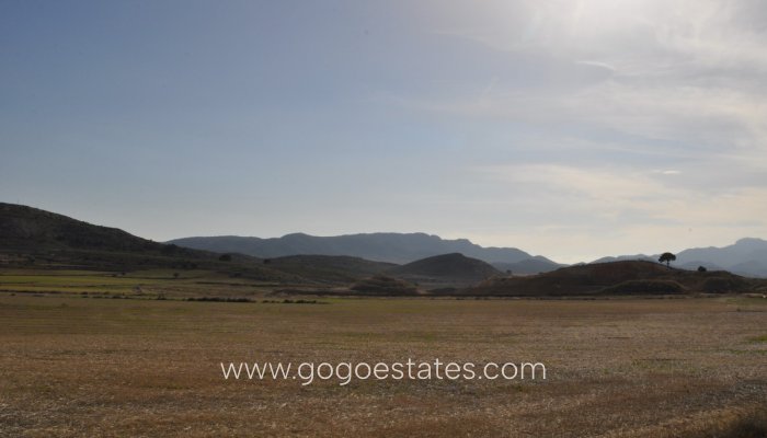 Te koop - Perceel - Land - Jumilla - Torre del Rico