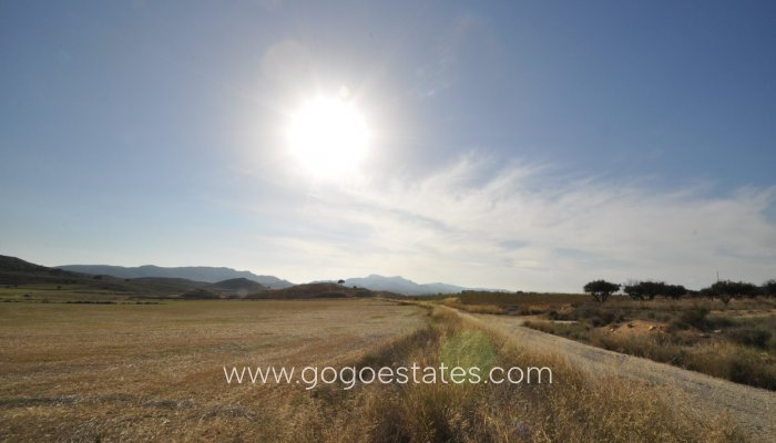 Te koop - Perceel - Land - Jumilla - Torre del Rico