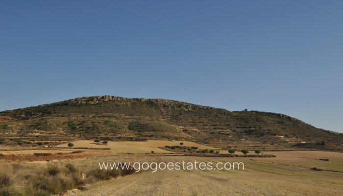 Te koop - Perceel - Land - Jumilla - Torre del Rico