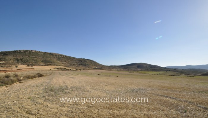 Te koop - Perceel - Land - Jumilla - Torre del Rico