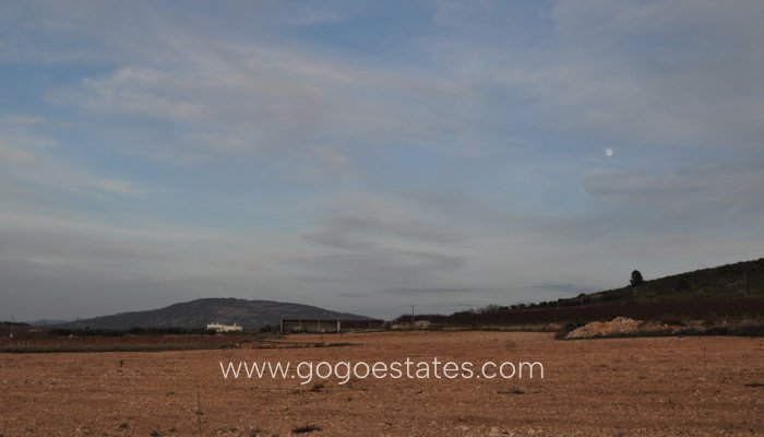 Te koop - Perceel - Land - Jumilla - Cañada del Trigo