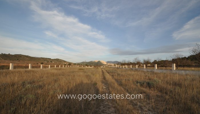 Revente - Terrain - Terrain - Murcia - Cañada De La Leña
