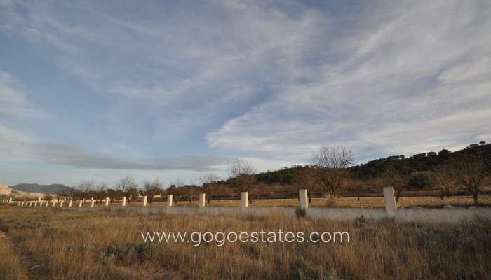 Revente - Terrain - Terrain - Murcia - Cañada De La Leña