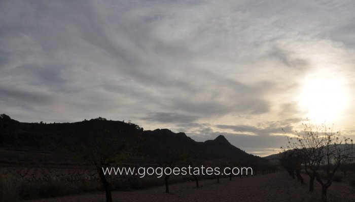 Revente - Terrain - Terrain - Murcia - Cañada De La Leña