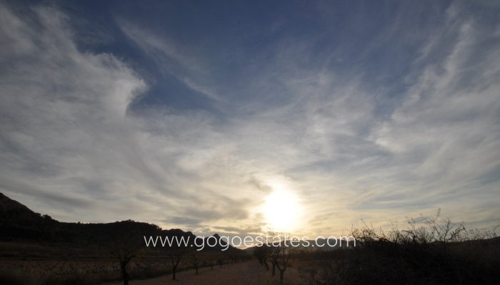 Revente - Terrain - Terrain - Murcia - Cañada De La Leña