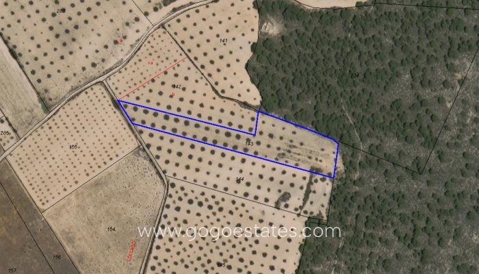 Revente - Terrain - Terrain - Yecla - Yecla Centro