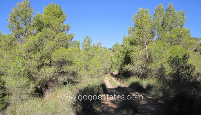 Te koop - Perceel - Land - Yecla - Yecla Centro