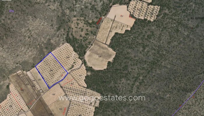 Te koop - Perceel - Land - Yecla - Yecla Centro