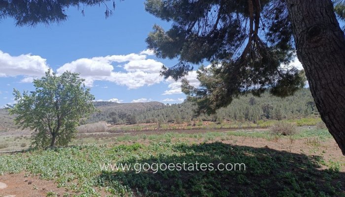 Te koop - Huis - Finca - Cortijo - Yecla - Yecla Centro