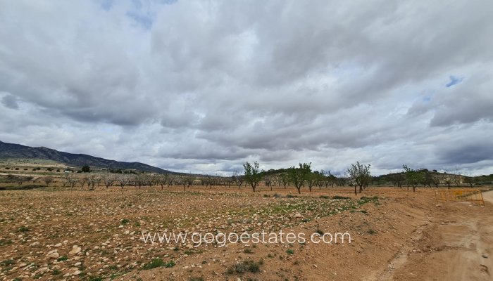 Te koop - Perceel - Land - Jumilla - Torre del Rico