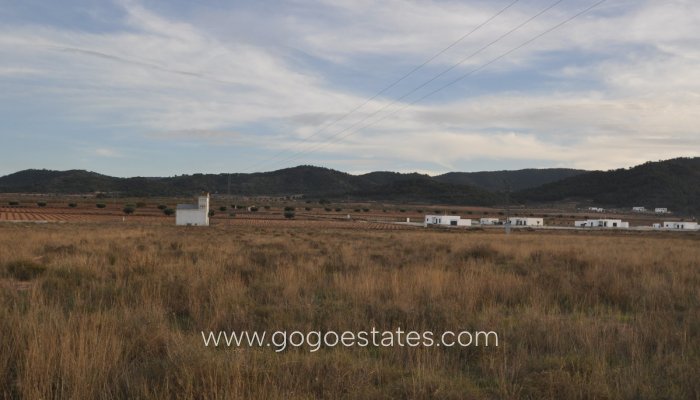 Te koop - Perceel - Land - Murcia - Cañada De La Leña