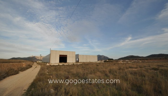 Te koop - Perceel - Land - Murcia - Cañada De La Leña