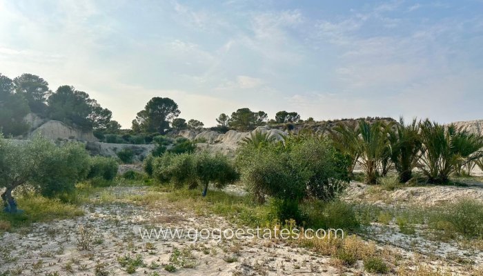 Te koop - Huis - Grotwoning - Murcia - Abanilla Centro