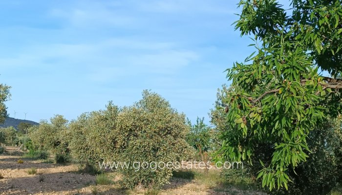 Te koop - Huis - Finca - Cortijo - Yecla - Yecla Centro