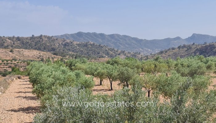 Te koop - Perceel - Land - Murcia - Abanilla Centro