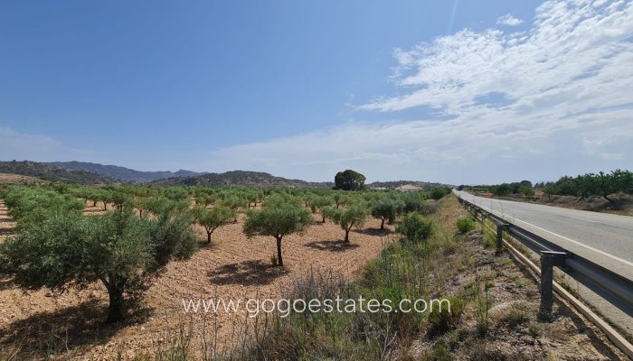 Te koop - Perceel - Land - Murcia - Abanilla Centro