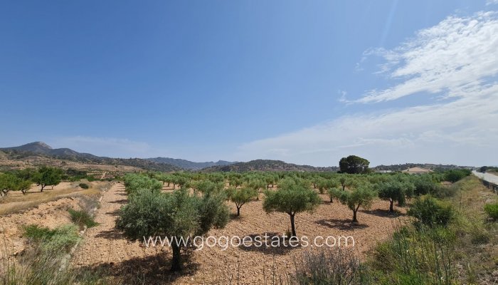 Te koop - Perceel - Land - Murcia - Abanilla Centro
