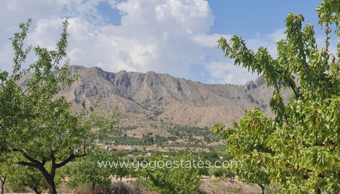 Te koop - Perceel - Land - Murcia - Abanilla Centro