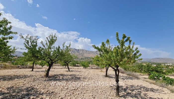 Te koop - Perceel - Land - Murcia - Abanilla Centro