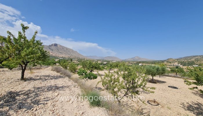 Te koop - Perceel - Land - Murcia - Abanilla Centro