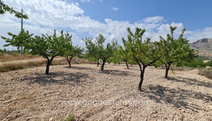 Te koop - Perceel - Land - Murcia - Abanilla Centro