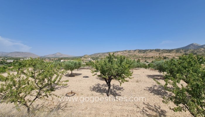 Revente - Terrain - Terrain - Murcia - Abanilla Centro